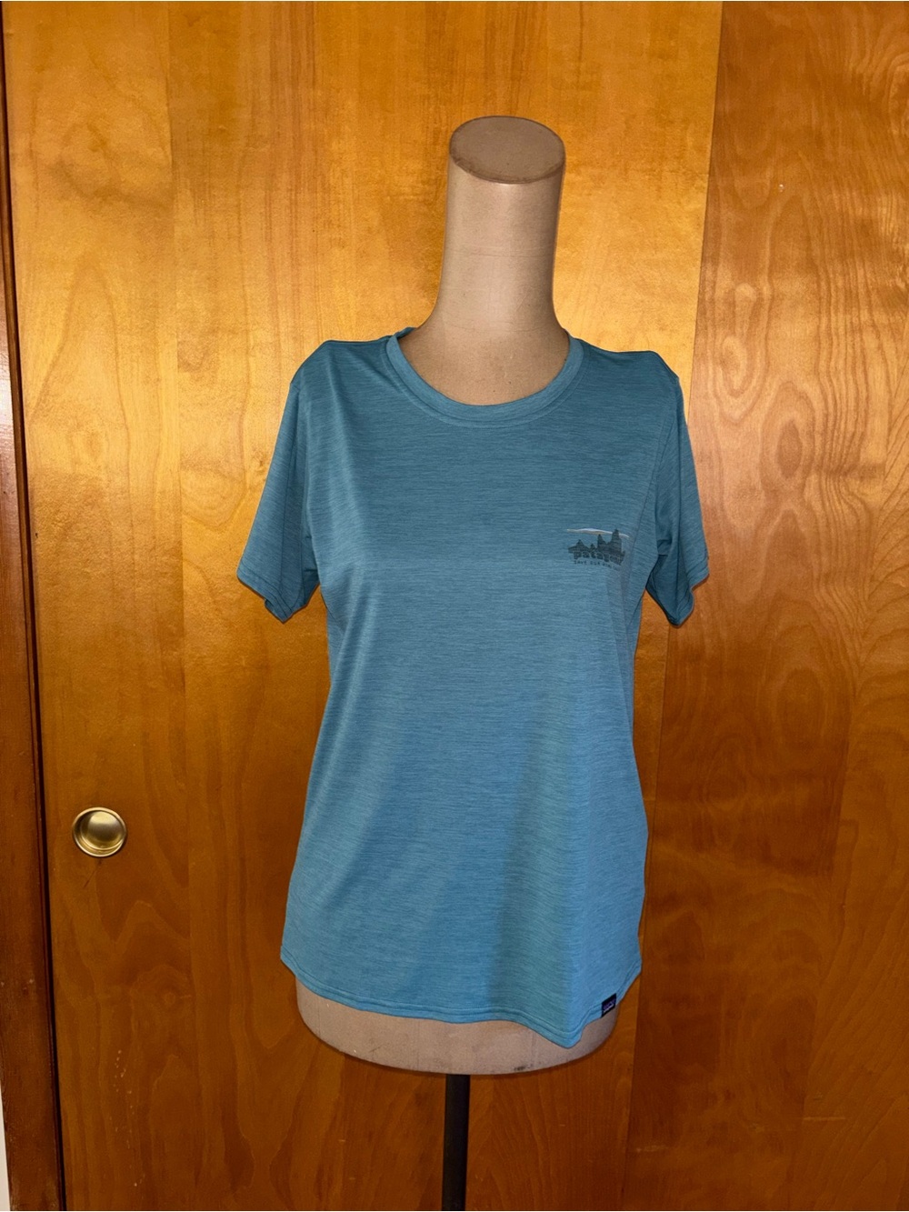 Patagonia Women's Teal Short-Sleeve Crew Tee